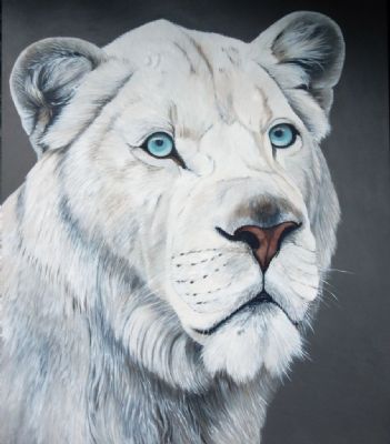 white lion